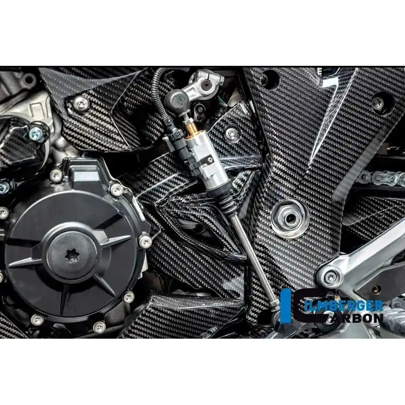 Schnäppchen PROTECCION PIÑON ILMBERGER CARBON BMW S 1000 XR 2020-2025