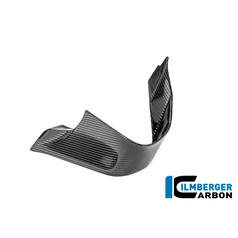 Kostenloser Rückversand ALETA IZQUIERDA ILMBERGER CARBON BMW M 1000 RR 2025