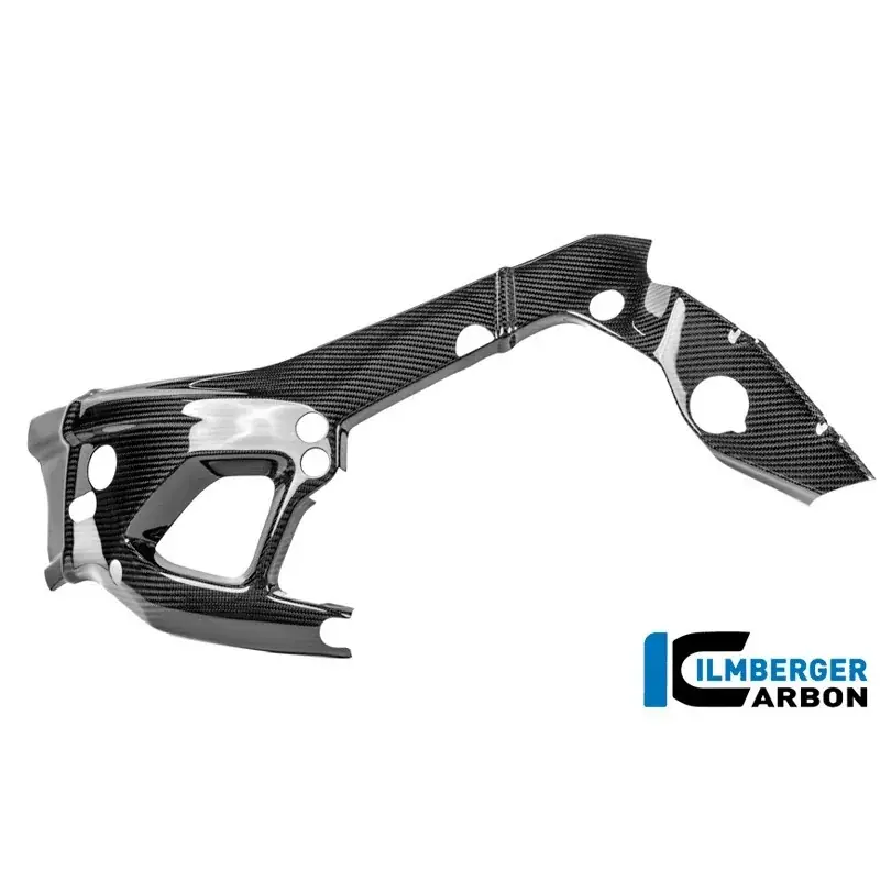 Beliebt PROTECTOR DE MARCO IZQUIERDO CARBONO BRILLO BMW M 1000 RR 2025