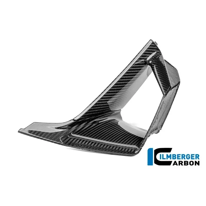 Top-Seller ALA INTERIOR DERECHA ILMBERGER EN CARBONO BRILLO PARA BMW S 1000 RR 2025