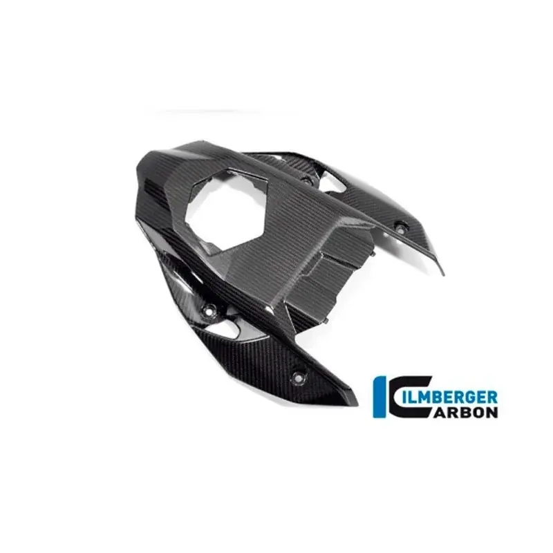 Schneller Versand PROTECTOR TRASERO DE CARBONO ILMBERGER para BMW S 1000 R 2021-2025