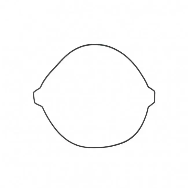 Kupplungsdeckeldichtung KTM SX, EXC 250, 300 / GasGas EC MC  / Husqvarna TC, TE 2017- Preisreduziert