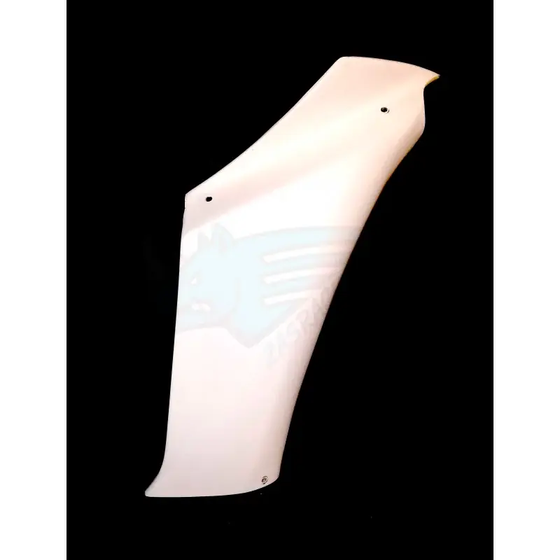 LATERAL DERECHO YAMAHA YZF R1/R1M 2020- Expressversand