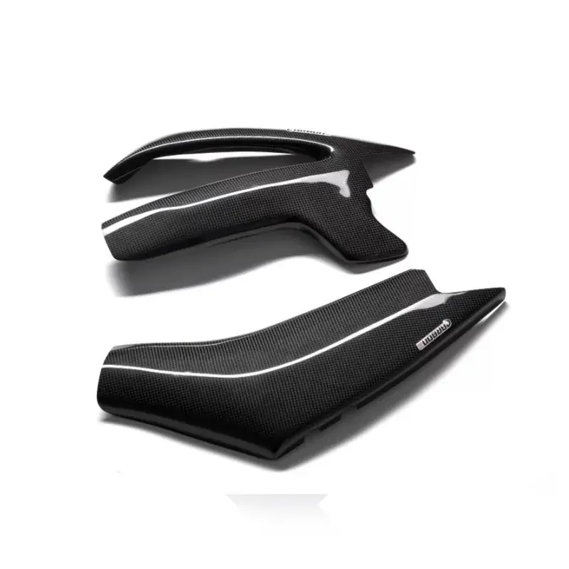 Preisreduziert Protectores de basculante de Carbono CARBON 2 RACE YAMAHA FZ1 Fazer 2006-2015