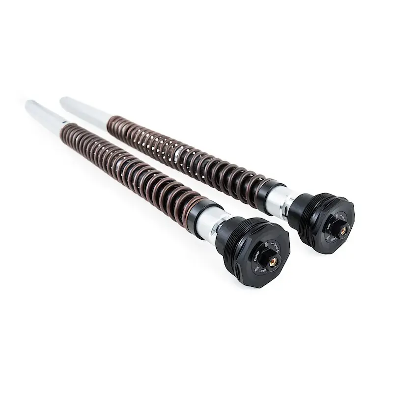 Sichere Zahlung CARTUCHO HORQUILLA OHLINS NIX30 STREET KTM DUKE 890 2021-2023