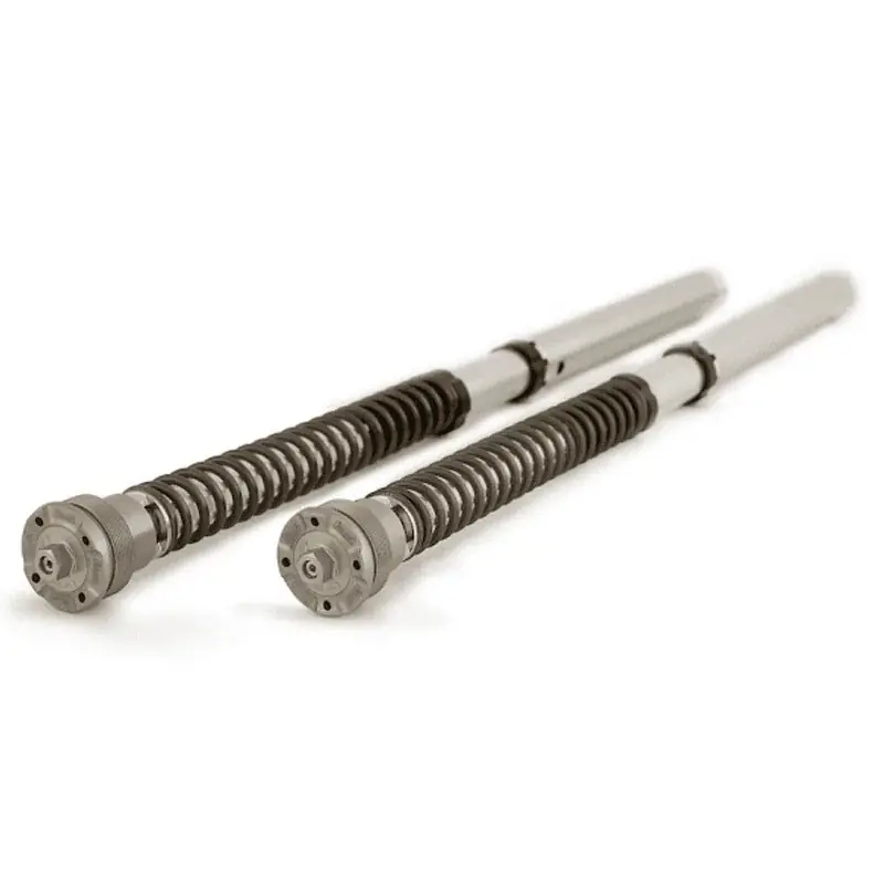 Highlight Cartuchos Horquilla OHLINS NIX30 HONDA CBR 1000 RR-R 2020-2022