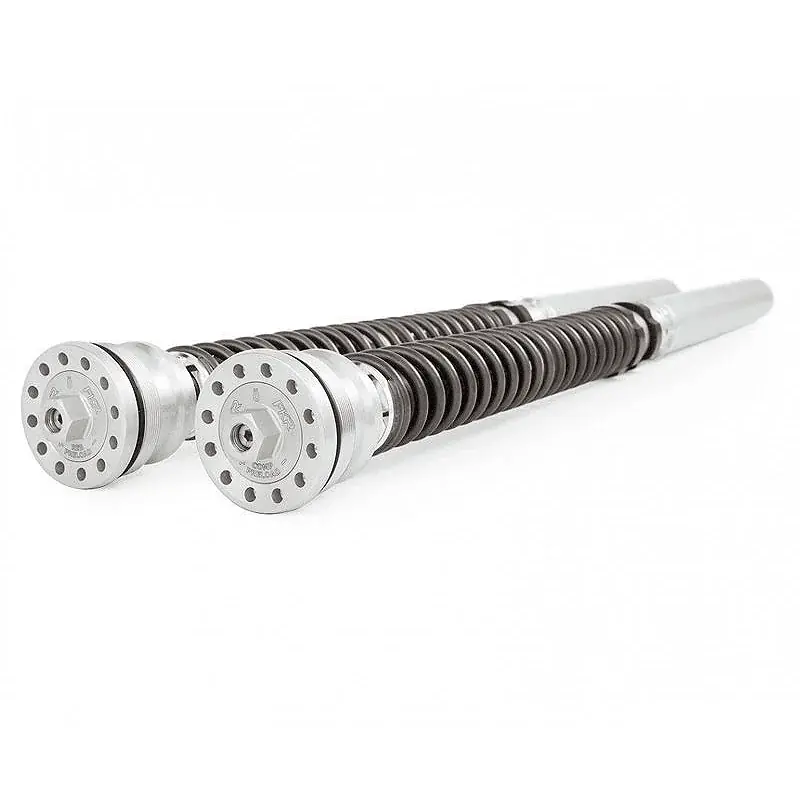 Kostenfreie Lieferung CARTUCHO HORQUILLA OHLINS NIX30 YAMAHA YZF R1 2015-2019 (OHLINS)