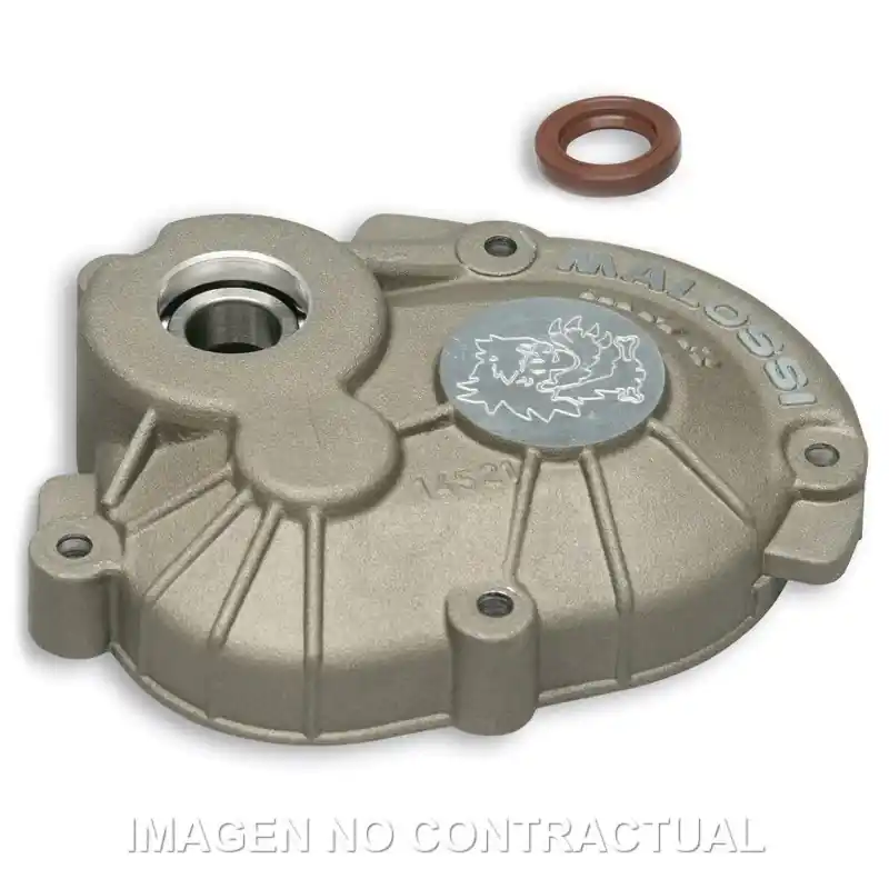 Saisonangebot Cubrecarter Malossi MHR Piaggio 50