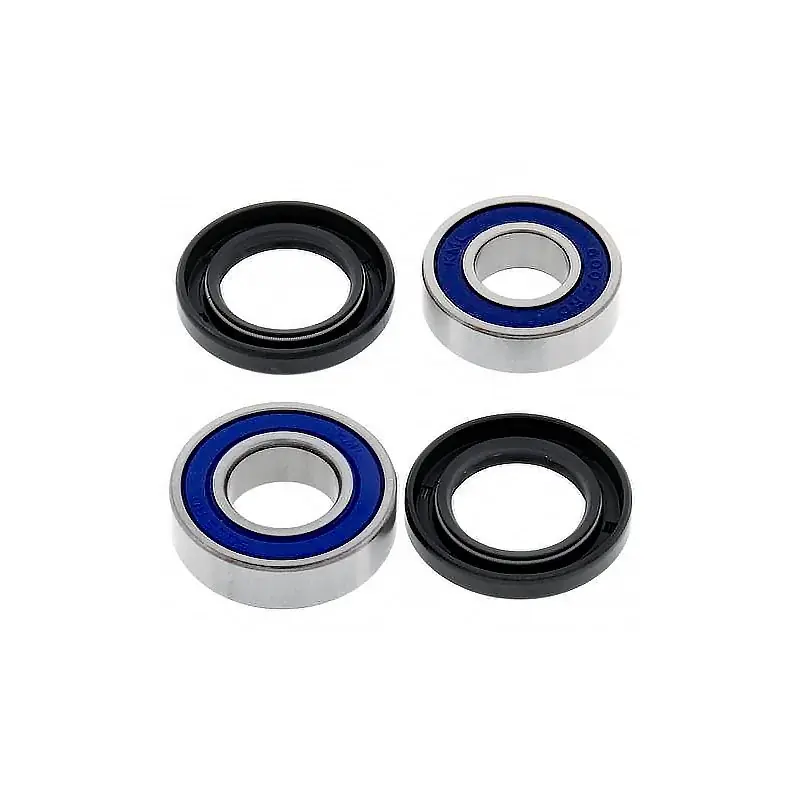 Ausverkauf Kit de rodamientos rueda All Balls 25-1395 Can-Am DS 250 06-25