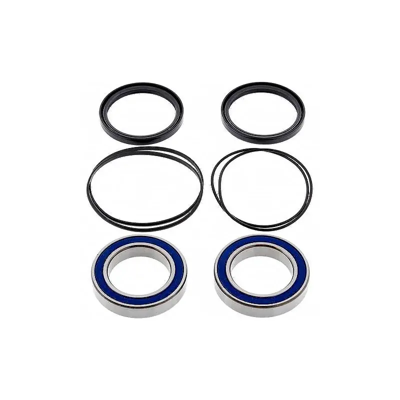 Begrenztes Angebot Kit de rodamientos rueda All Balls 25-1320 HONDA 300 TRX EX SPORTRAX 93-08