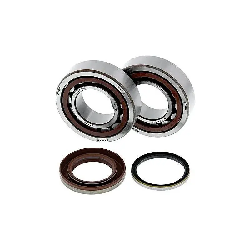 Solange Der Vorrat Reicht Kit de rodamientos cigüeñal All Balls 24-1105 KTM SX-F 250 05-12