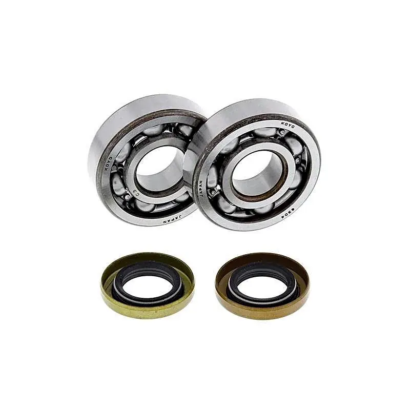 Kit de rodamientos cigüeñal All Balls 24-1102 Husqvarna CR 65 12, KTM SX 60 98-00, SX 65 98-08, XC 65 08 Solange Der Vorrat Reicht