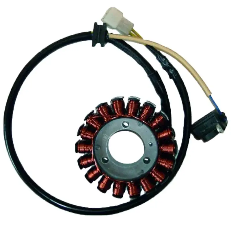 Begrenztes Angebot Stator Kokusan 18 Polos 12V 220W Aprilia