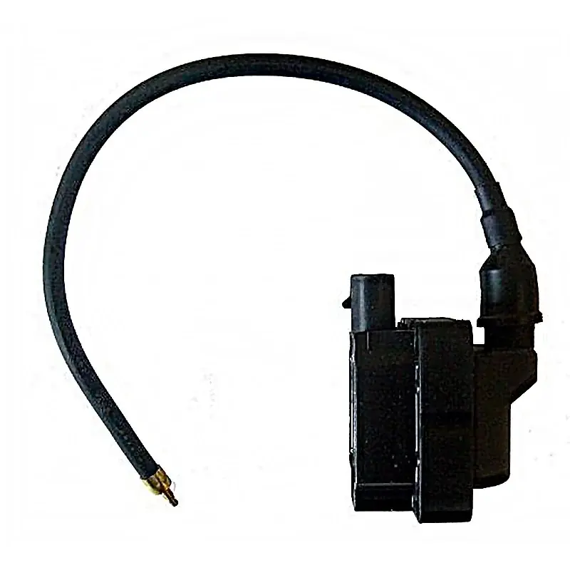 Echt Bobina 12V - CC - Conector 2 Pins - Con cable