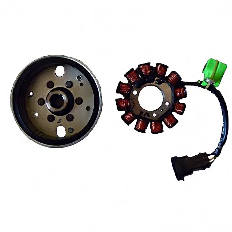 Volante Magnético 12 Polos 12V 120W (Motor Piaggio 50 4T-4V Meistverkauft