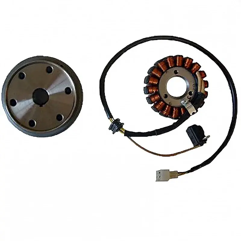 Volante Magnético 18 Polos Trifase 12V 220W (Motor Aprilia Carburador 4T) Top-Angebot