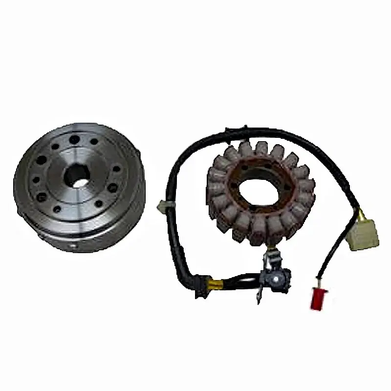 Volante magnético Denso 18 polos Honda SH 300 i.e. Wochenendangebot