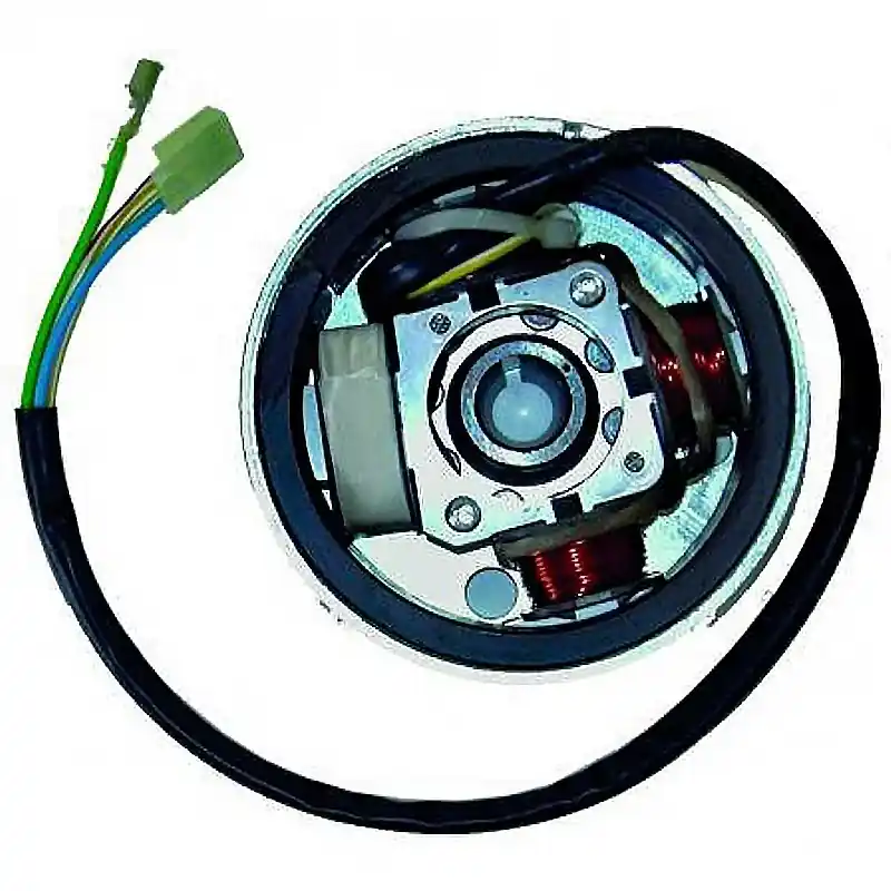 Volante Magnético 4 Polos Kostenfreie Lieferung