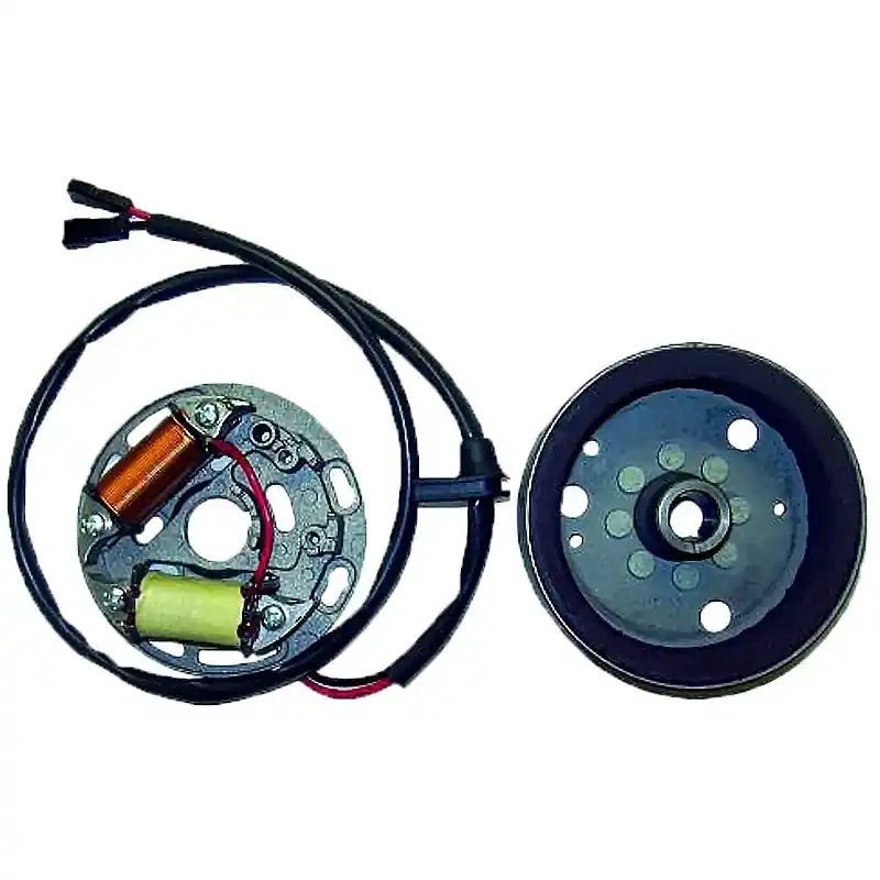 Sichere Zahlung Volante Magnético 4 Polos 6V 18W