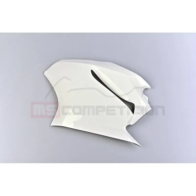 Finale Aktion LATERAL IZQUIERDO FIBRA DE VIDRIO TF SUPERBIKE DUCATI 1299 PANIGALE
