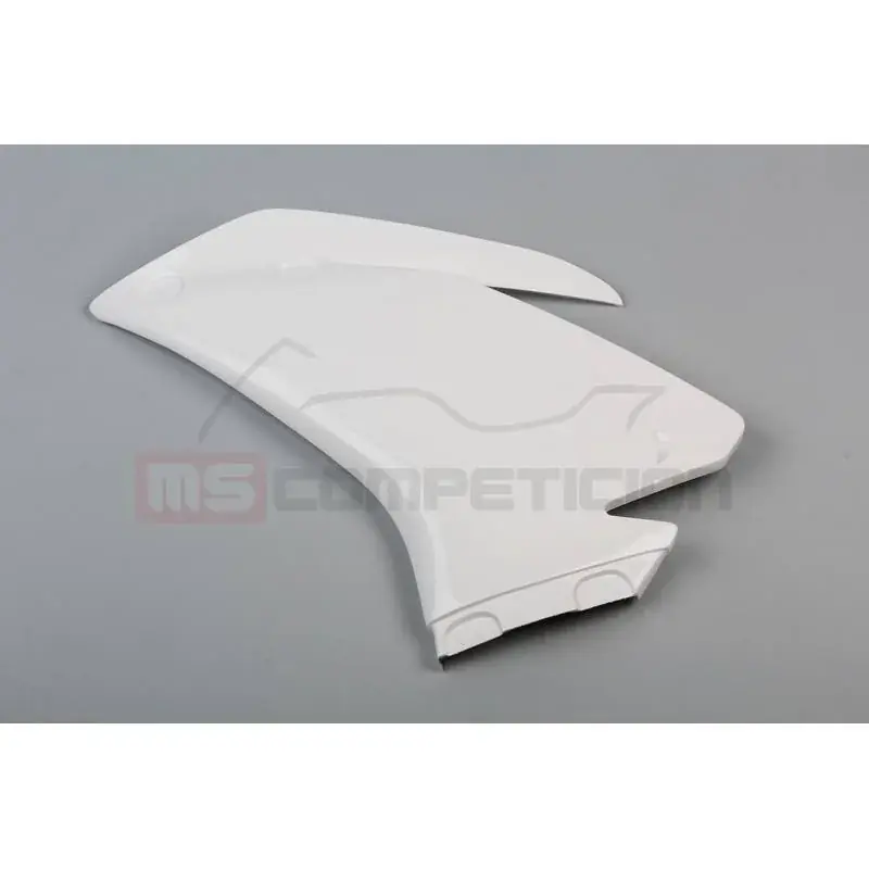 LATERAL IZQUIERDO FIBRA DE VIDRIO TF SUPERBIKE APRILIA RSV4 2015-2021 Kostenloser Rückversand