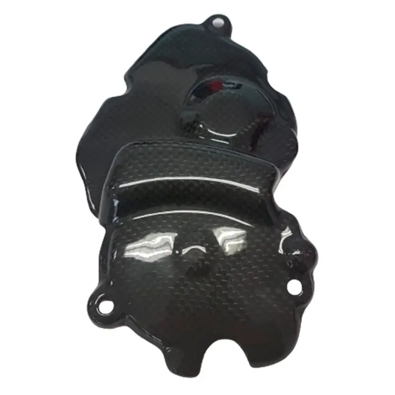 Geprüft Protector Pick Up Carbono CARBON 2 RACE KAWASAKI ZX-6R 2009-2023