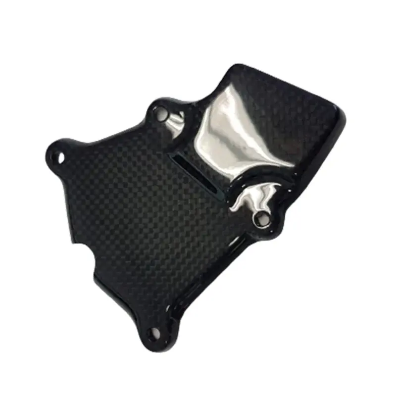 Protector Pick Up Carbono CARBON 2 RACE BMW S 1000RR 2009-2018 Billig