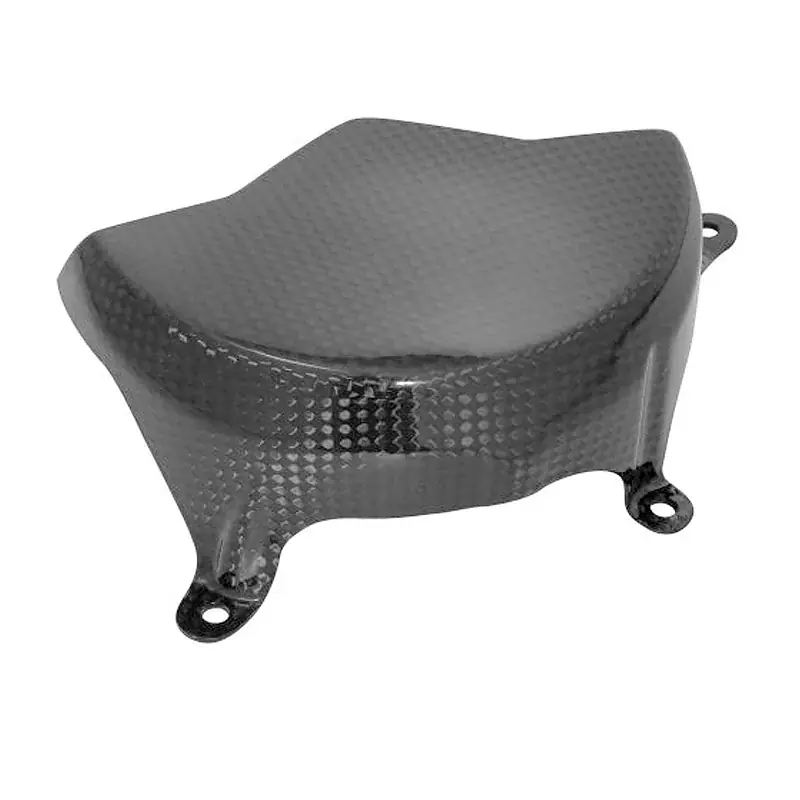 Tapa Alternador Carbono LIGHTECH DUCATI PANIGALE V4/S/R Super-Preis