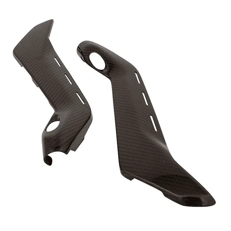 Tapa Radiador Deposito Carbono Brillo LIGHTECH DUCATI PANIGALE V4/S/R Online Kaufen