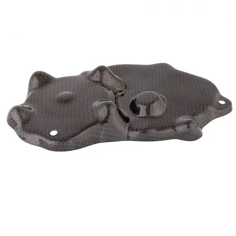 Rabatt Protectores Recogida Carbono LIGHTECH KAWASAKI