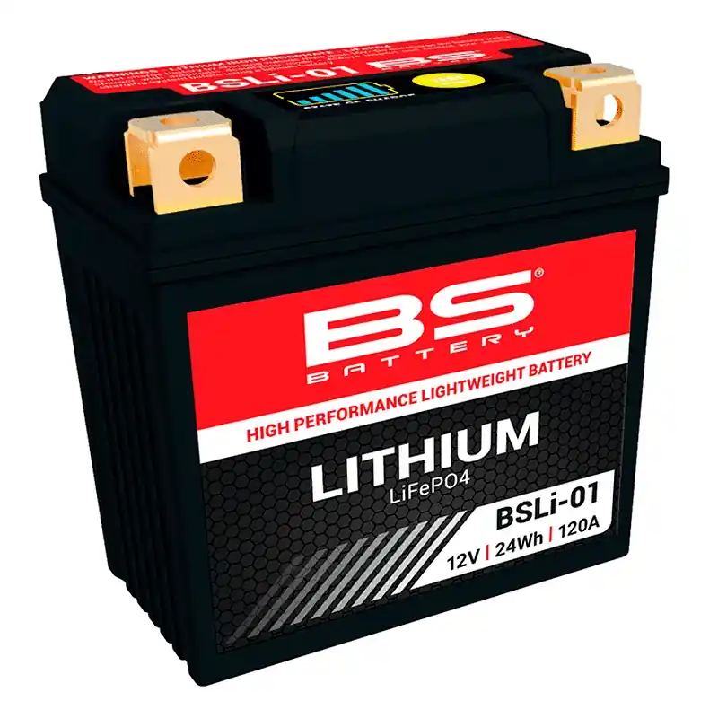 Schneller Versand Bateria de litio BS BATTERY BSLI-01 LFP01