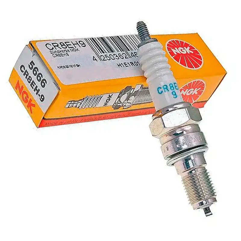 Neu Im Sortiment Bujia NGK CR8EH9