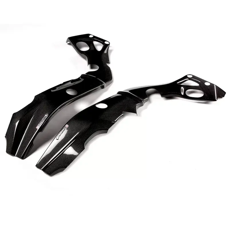 Geprüft Protectores de Chasis Carbono CARBON 2 RACE BMW S 1000 R 2017-2020